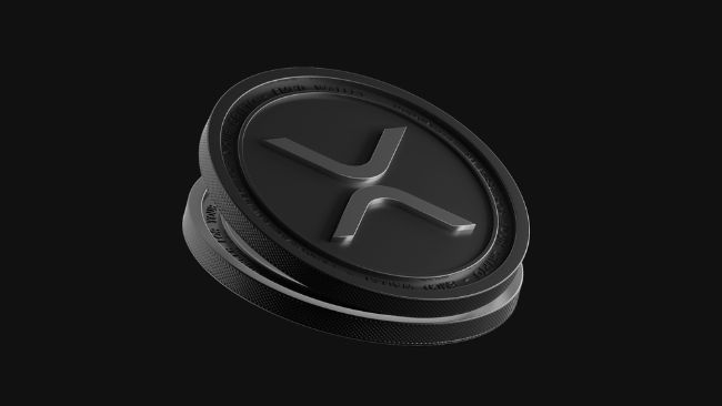 Garlinghouse Said ‘Maybe’ — Ripple IPO XRP Holders Heard a Promise