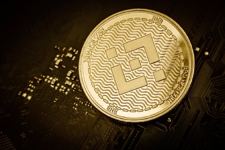 BNB Chain Remains Top-1 Chain With Active Stablecoin Addresses, But There’s a Catch