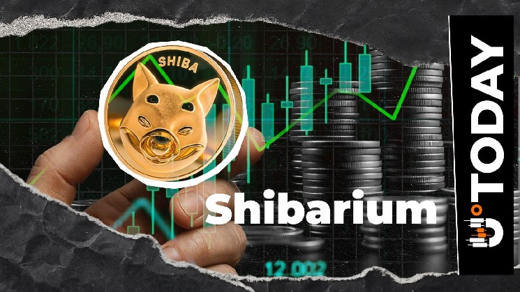 Shibarium Activity Returns With 100% Transaction Rise, but Is It Enough?