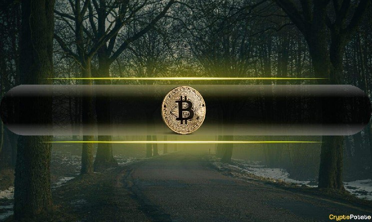 Is This the Hidden Reason Behind Bitcoin’s $23K Collapse in Just 6 Weeks?