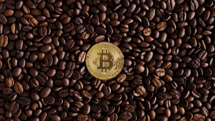 Vanadi Coffee’s Bitcoin Pivot Soured by Exorbitant Board Fees and Shareholder Revolt