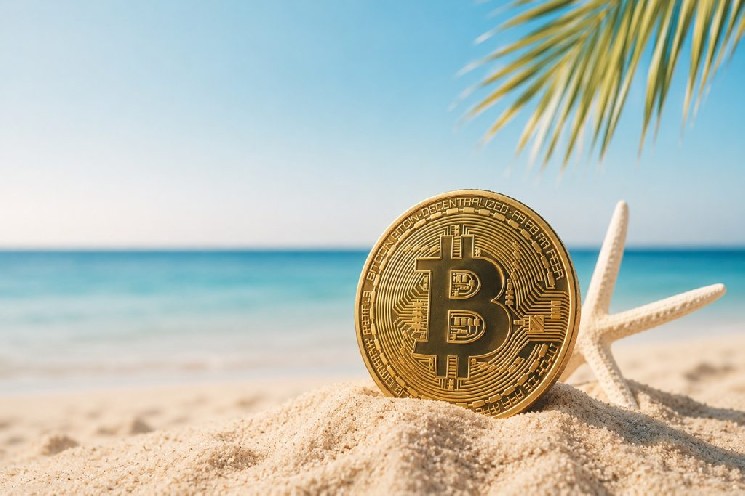 “Bitcoin’s Four-Year Cycle Is Running Like Clockwork”
