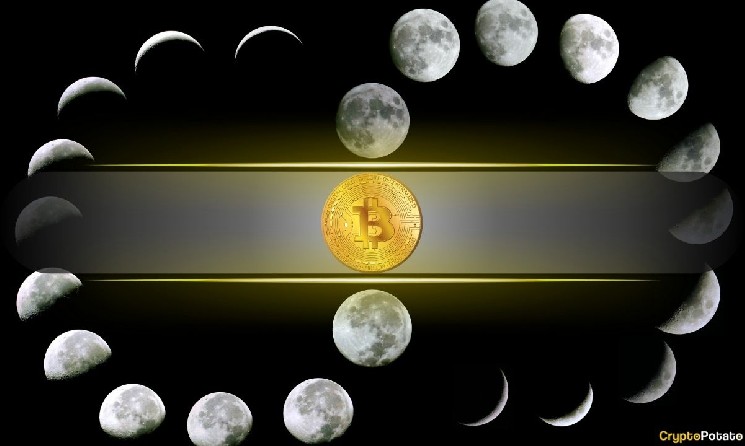 Bitcoin Records Worst June in Four Years – Is a Cyclical Bottom in Play?
