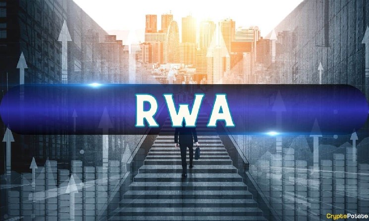 Tokenized Stocks and RWAs Are Becoming Fastest-Growing Categories