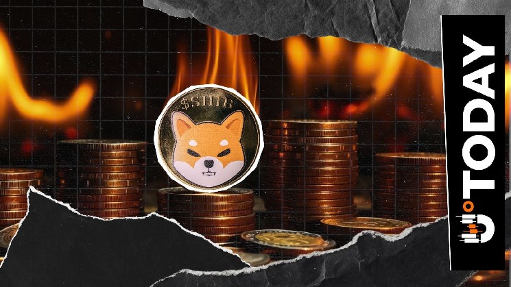 Shiba Inu Burn Rate Rises 434% With Millions of SHIB Torched