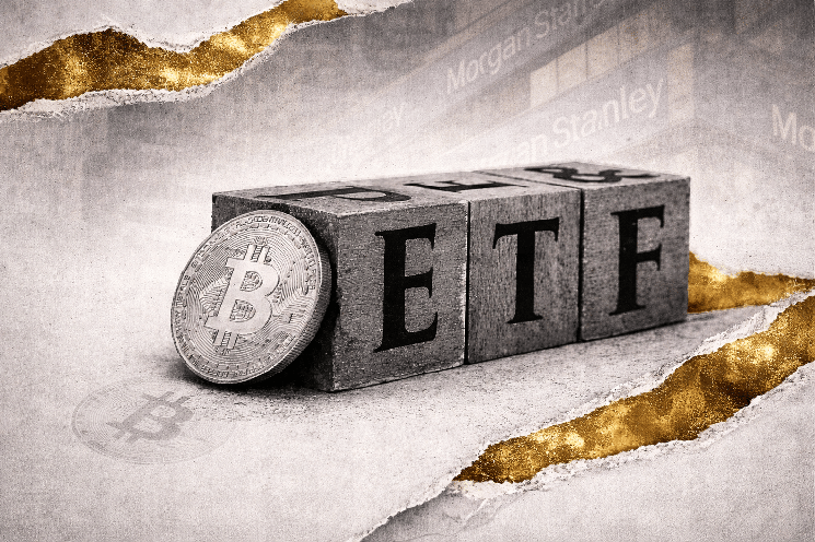 Why MemeToro Is Attracting Capital During the Dip