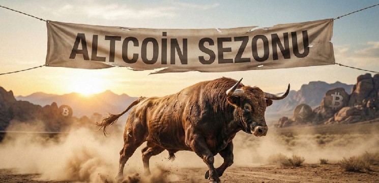 Cryptocurrency Company Wintermute Makes Pessimistic Statements Regarding the Expected Altcoin Bull Run! Here Are the Details