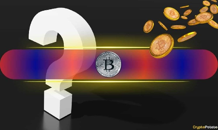 Critics Say BIP-110 Could Break Self-Custody and Risk User Funds