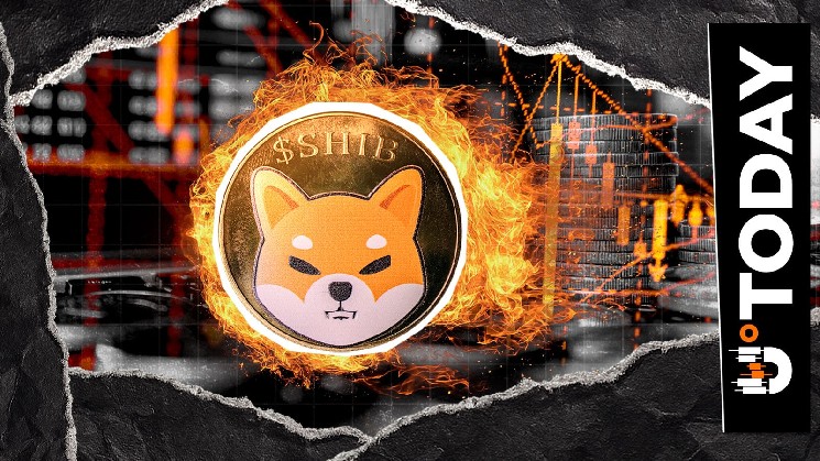 Shiba Inu (SHIB) Burn Hits 4.99 Million, Why Isn’t Burn Rate Moving?