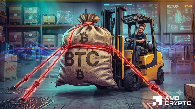 BTC loses half its value, yet THIS metric shows quiet accumulation