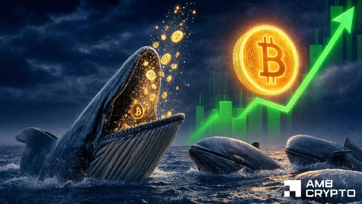 Bitcoin whales bet $94M on recovery – Can BTC finally clear $64K?