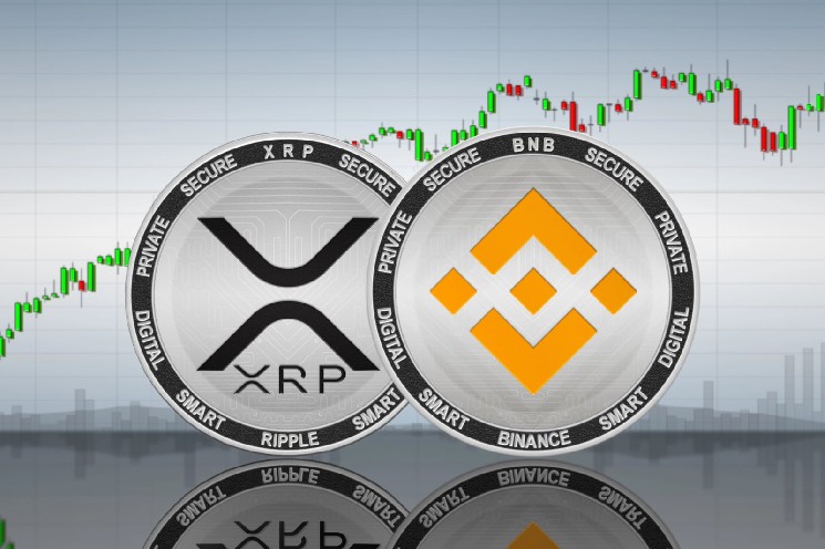 Who Qualifies for Binance’s New $800,000 XRP Drop? Strict KYC and Regional Bans Detailed