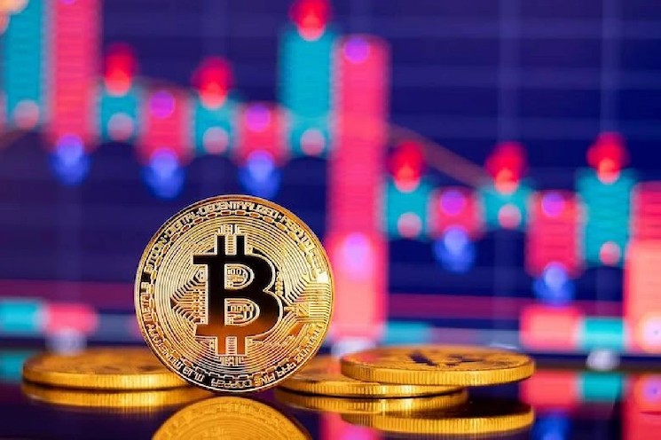 Is Bitcon price rebound a dead cat-bounce?