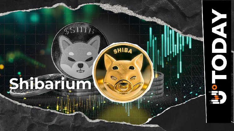 Crucial SHIB Ecosystem Update Goes Out to Shiba Inu Community: Reason