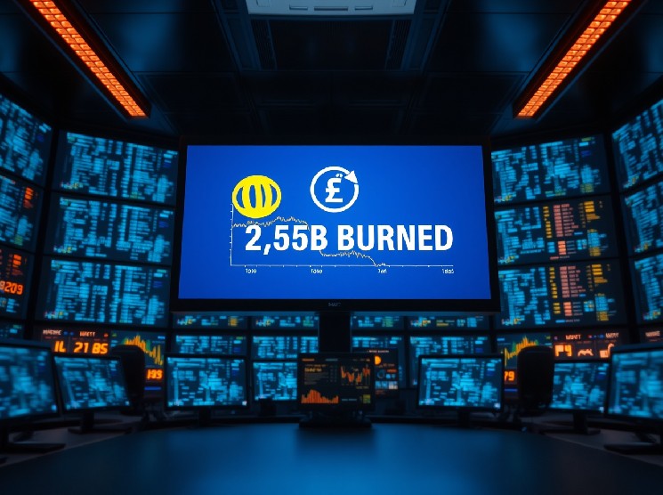 What the Massive Token Reduction Means for the Market
