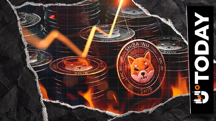 Only $4 in SHIB Burned: What’s Behind 72% Drop?
