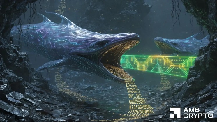 Is Bitcoin stabilizing? What to expect as whales control 35.84% of BTC’s supply