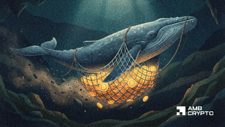 Bitcoin Futures hit $800T as whales pile in – Is demand for BTC back?