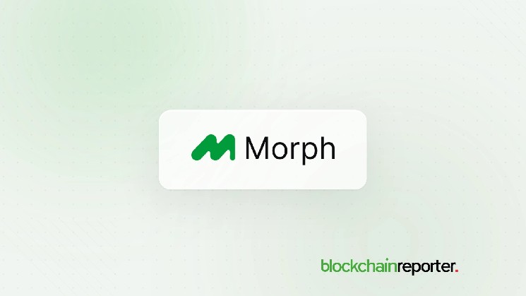 Morph Joins Bitget, Morpho, and Gauntlet to Offer Institutional-Scale DeFi Yield