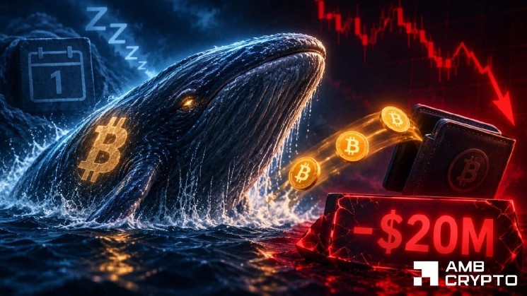 Can LTHs keep prices stable?