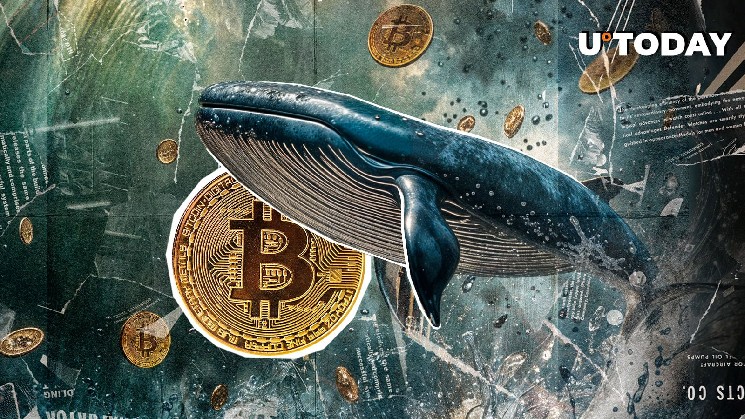 Bitcoin OG Moves 2,373 BTC After 7 Years of Silence