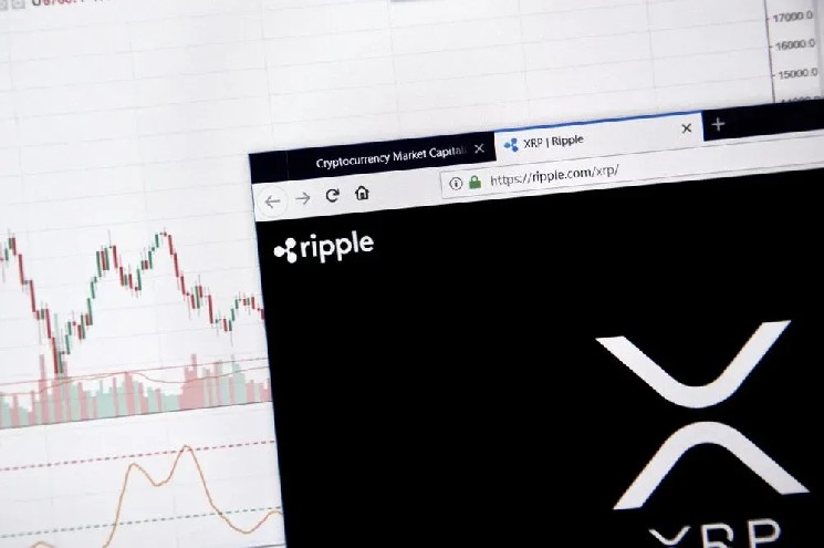 Evernorth CBO Explains Why XRP Is Made for Money Movement Whereas Bitcoin Is Digital Gold