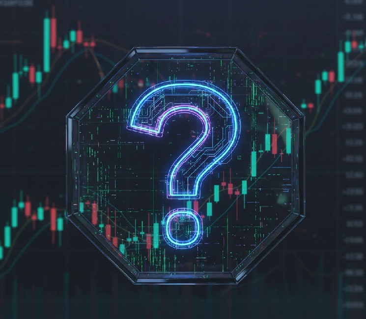 The Altcoins That Generated the Most Revenue During the Recent Rise Have Been Announced!