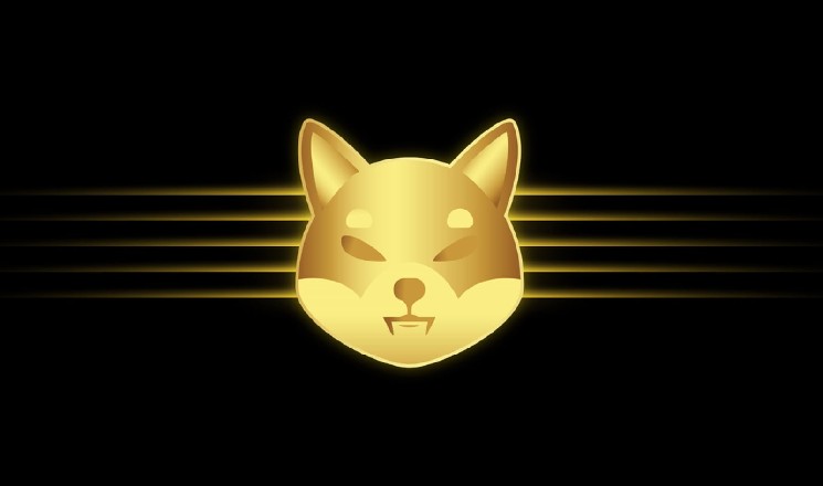 835 Billion Shiba Inu (SHIB) in 24 Hours: Whales Are Not Stopping