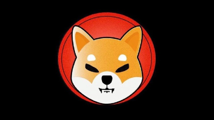 Why Did the Shiba Inu (SHIB) Price Suddenly Spike? What Will Happen Next?