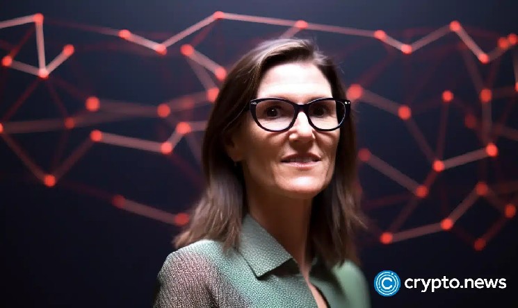 Cathie Wood defies SpaceX stock slump with a fresh $51M bet
