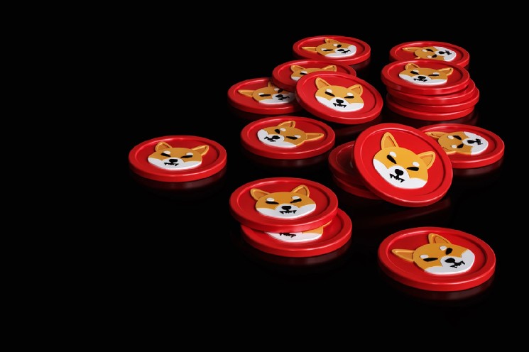 Shiba Inu (SHIB) Team Says Experiment Continues Amid Price Surge