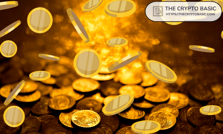 Is the Meme Coin Hype Over After 72% Crash?
