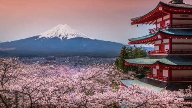 Japan’s FSA launches dedicated crypto and stablecoin division on August 7