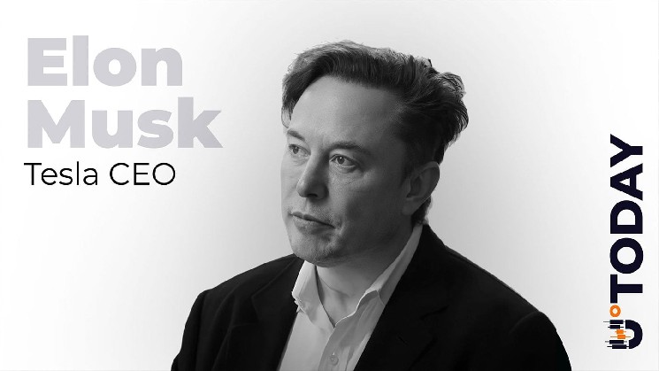 Musk Now Bigger Than Bitcoin