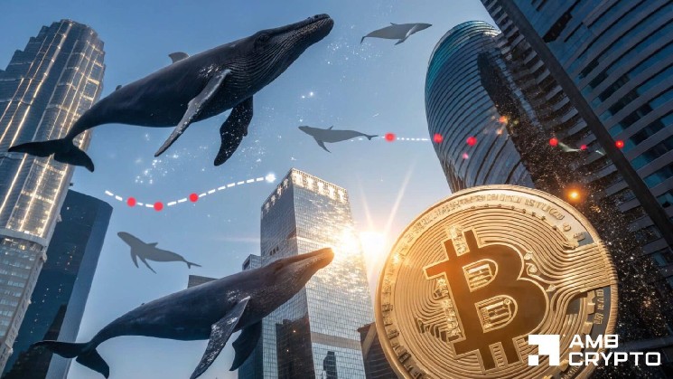 Is Bitcoin setting up for rebound as $190mln whale accumulation grows?