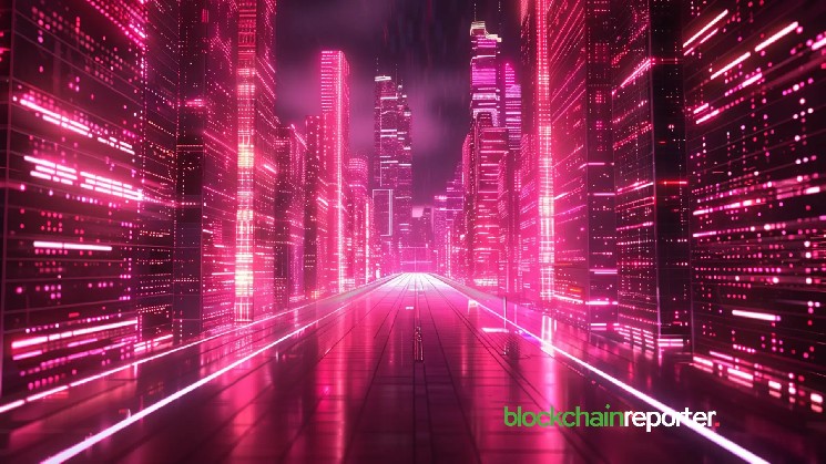Velo Partners with Zebec to Expand Everyday Crypto Payments