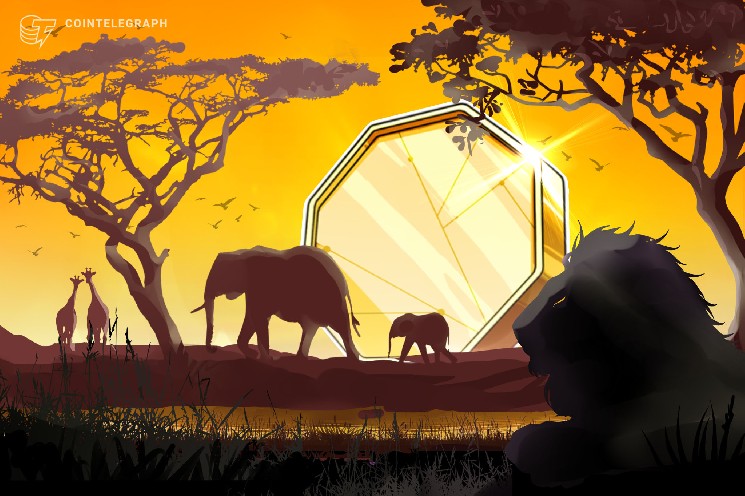 Zimbabwe admits seven fintech projects to regulatory sandbox