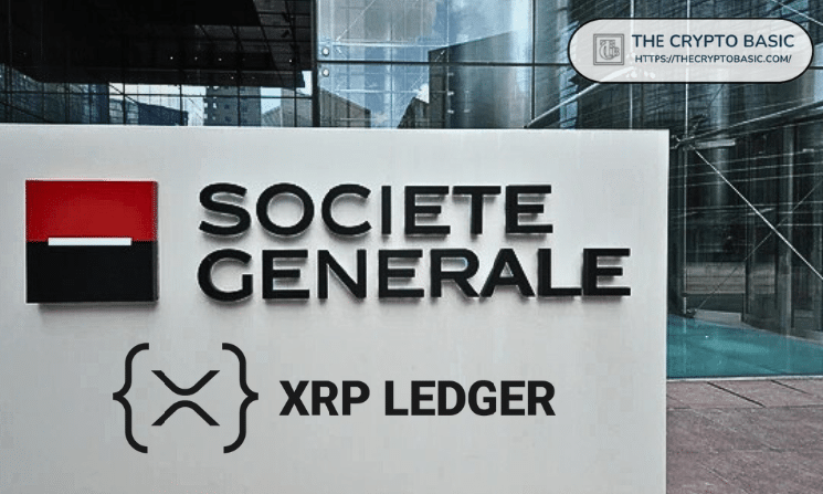 Real Banks Are Already Using XRP, Focus Now Shifts to Growth Over the Next 18 Months