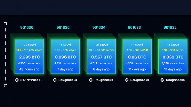 Replay Attack Alarm Grows as BIP-110 Backers Brand Bitcoin ‘Spamcoin’