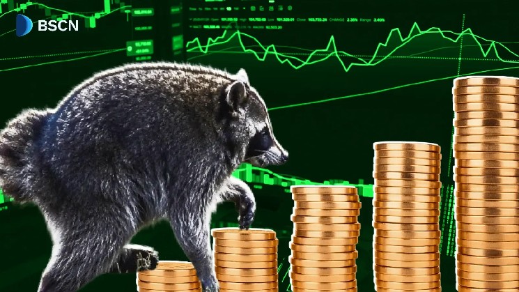 What Is Jimothy Memecoin?