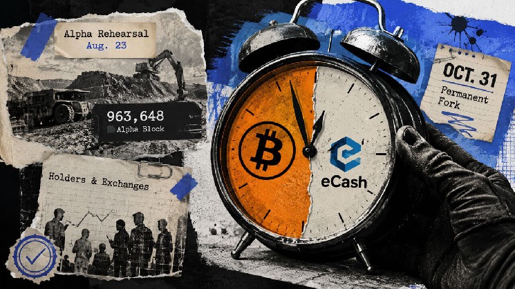 Bitcoin holders face unresolved fork risks as new eCash test chain launches ahead of October deadline