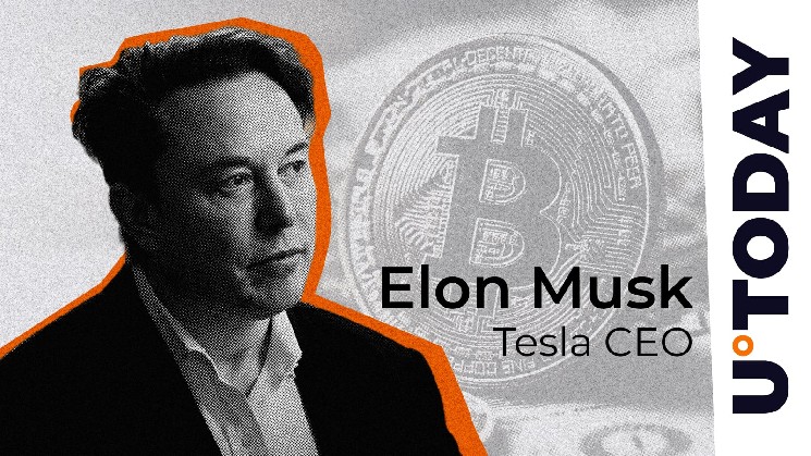 Satoshi Ranks Above Musk for Bitcoin Bull Draper