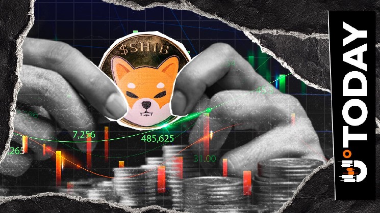 Shiba Inu Veteran Reacts to 40% SHIB Price Surge