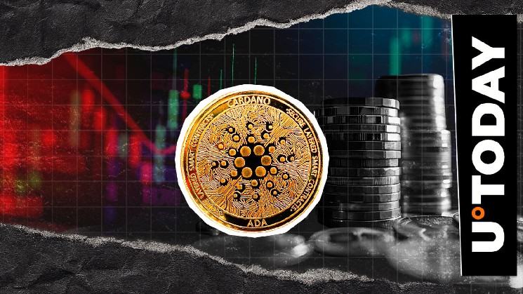 Cardano Spot Flows Drop 1917.11% in Matter of Hours, Market Signal?