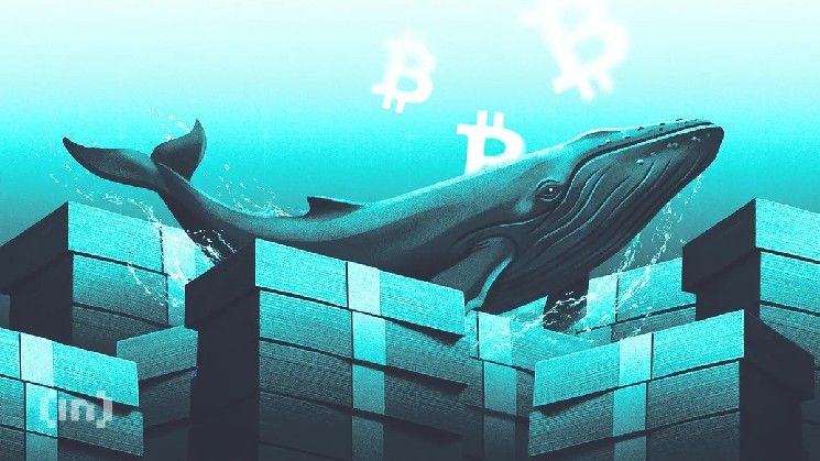 What Crypto Whales Are Buying and Selling as Bitcoin Broke Below $66,000