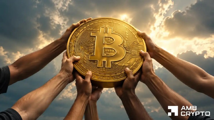Bitcoin bottom? BTC builds massive support wall amid ‘one of the largest transfers ever’