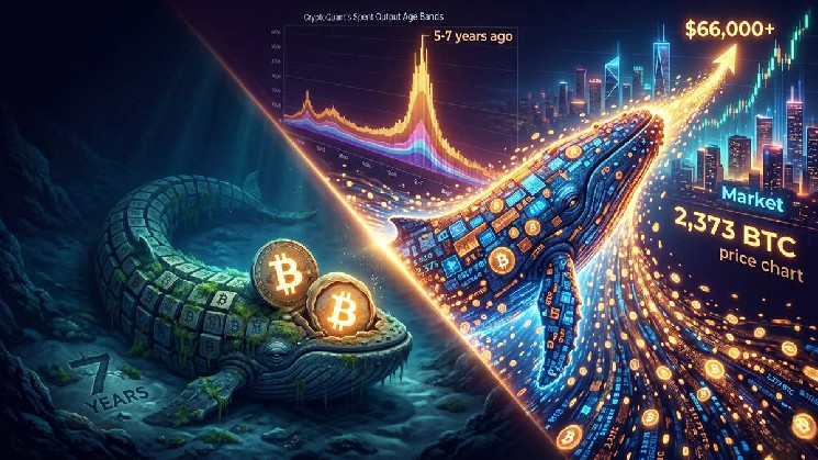 Dormant Bitcoin Whale Moves 2,373 BTC After Seven Years of Silence