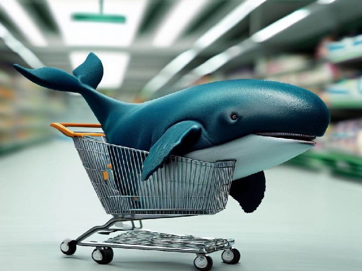 A Well-Known Market Whale Sold a Large Amount of This Altcoin, Leading to a Price Drop