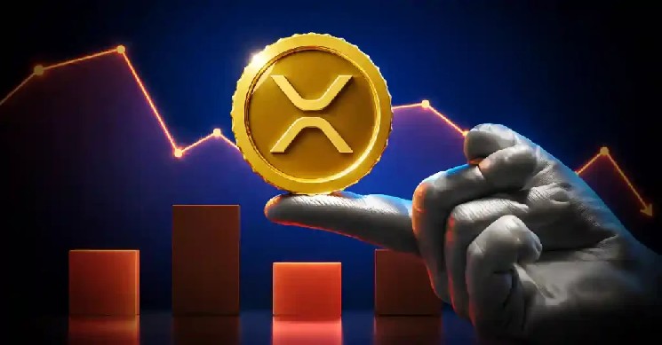 Uphold Says XRP Ledger Has ‘A Leg Up’ In Bank Adoption Race
