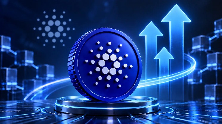 Cardano DEX Volume Rises 148% in a Week